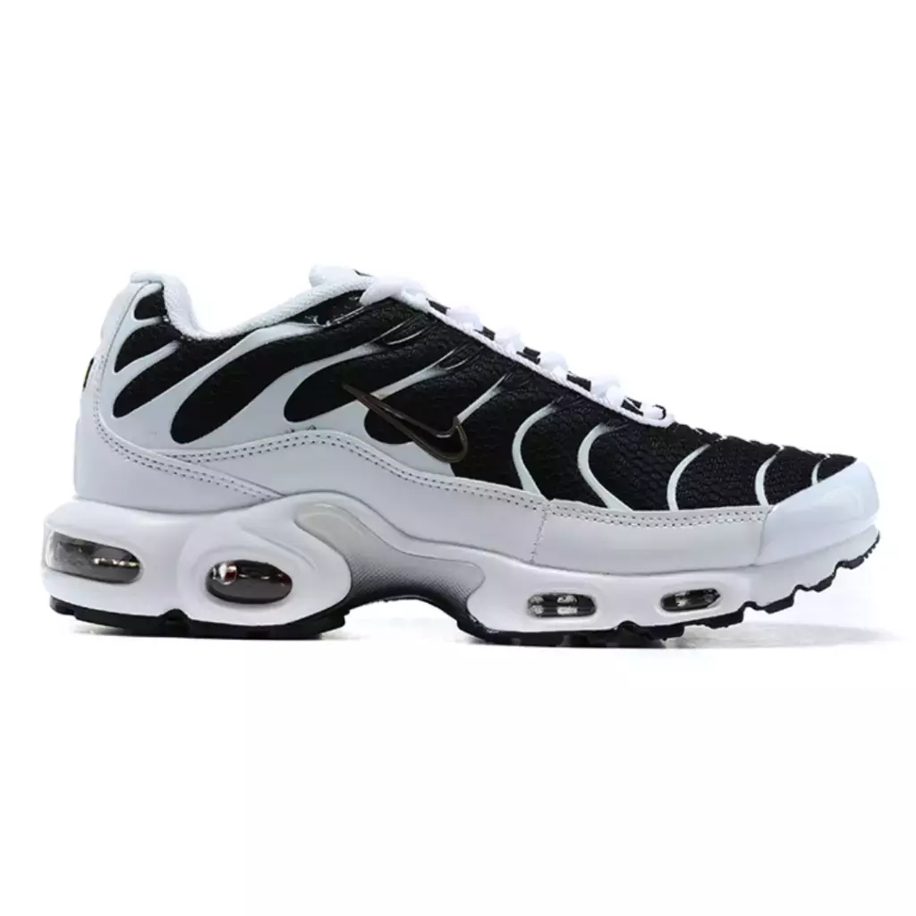 Air Max Plus TN 1 "Killer Whale"